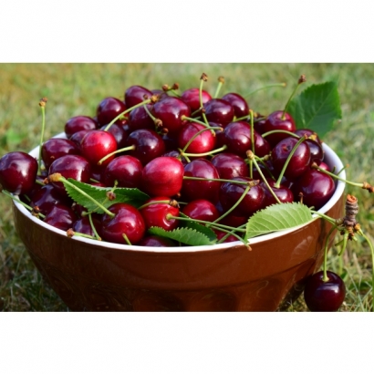 cherries-1509104.jpg
